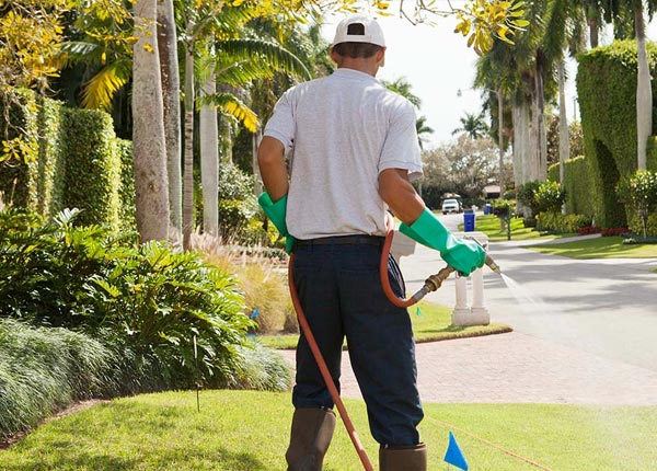 About Commack NY Pest Control Pros
